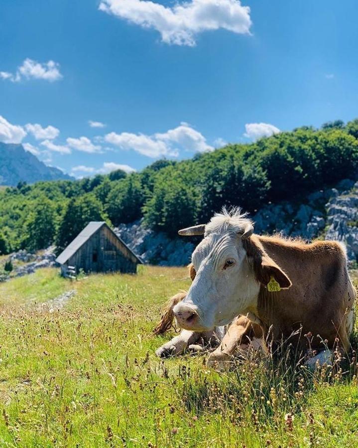 Etno Village Katun Žabljak Extérieur photo